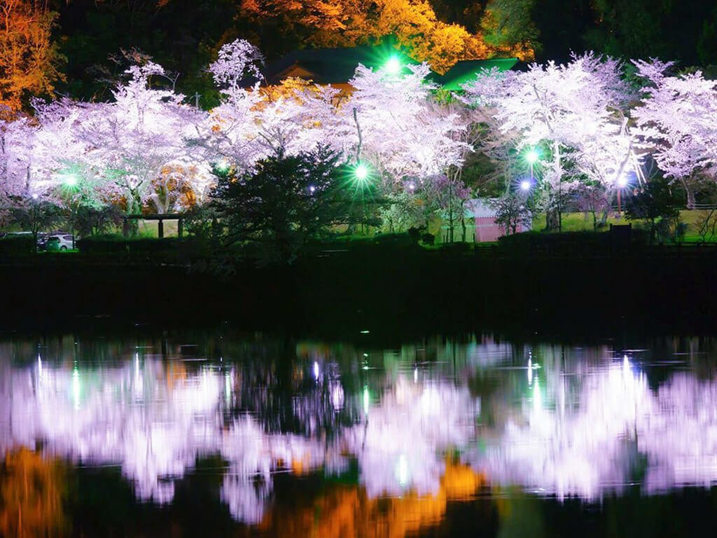 🌳 도요하시 공원(토요하시 코엔) 이미지 9